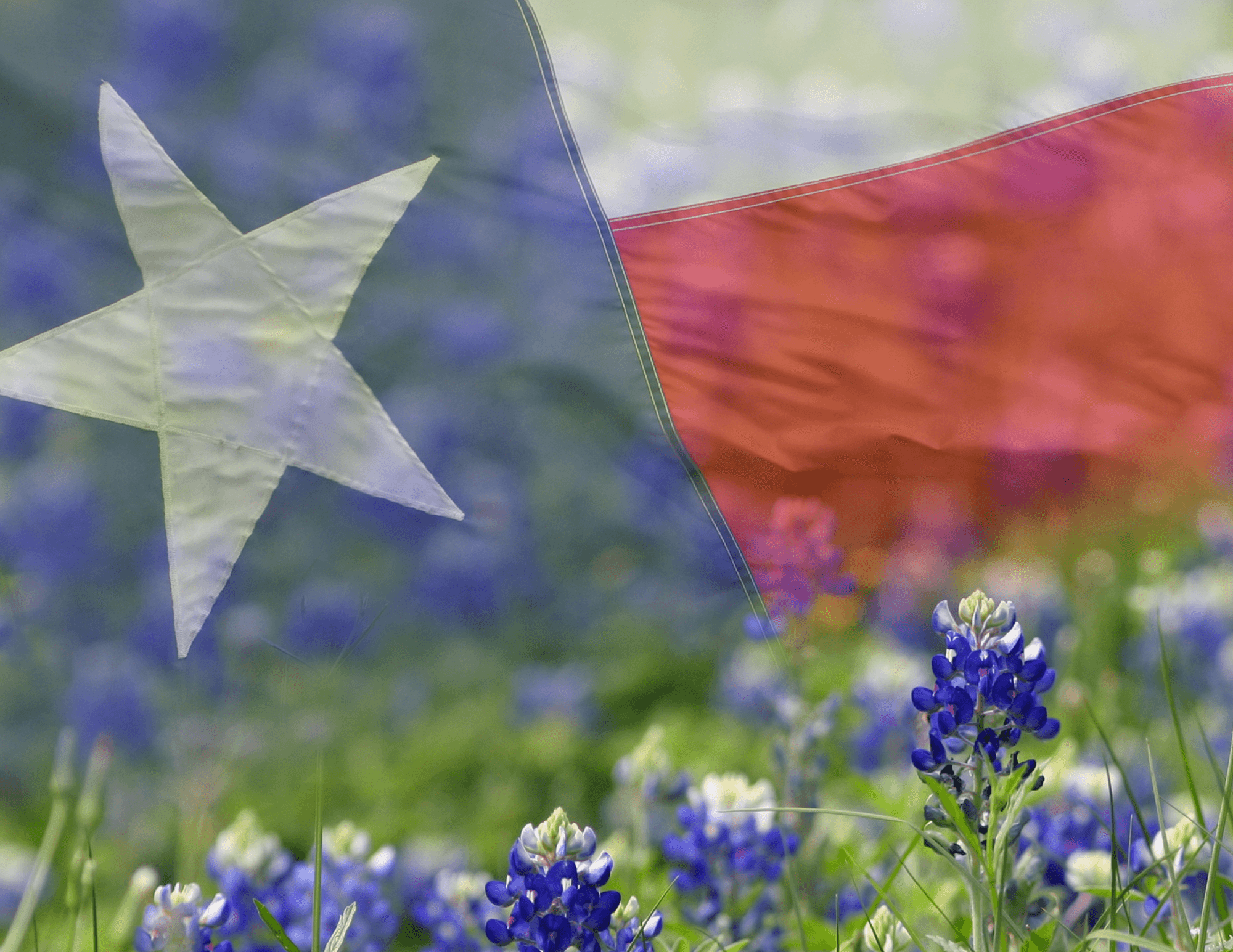 Why Family Offices and High-Net-Worth Investors Are Repositioning Into Texas Commercial Real Estate in 2026