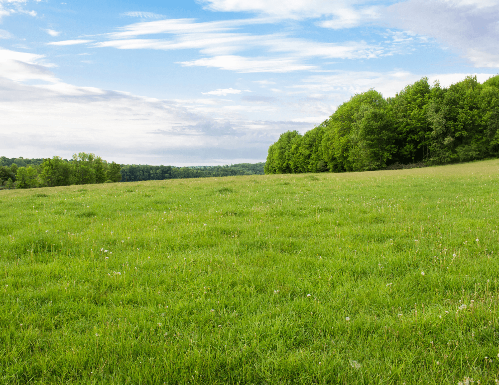 Texas Family Office Real Estate Allocation Guide